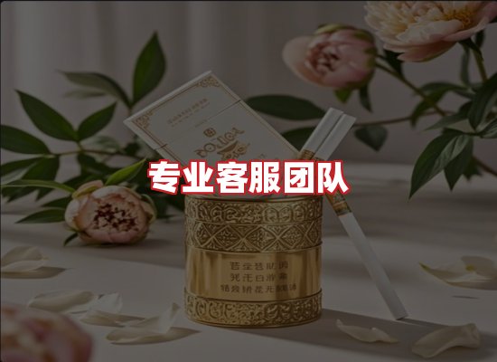 专业团队